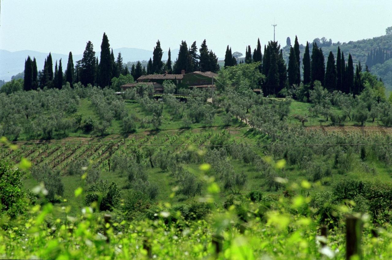 منزل الضيف Barberino di Val dʼElsa  في Fattoria Casa Sola المظهر الخارجي الصورة