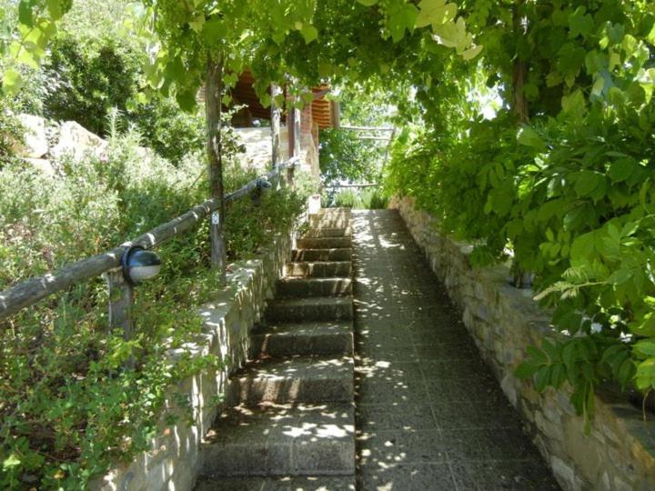 منزل الضيف Barberino di Val dʼElsa  في Fattoria Casa Sola المظهر الخارجي الصورة
