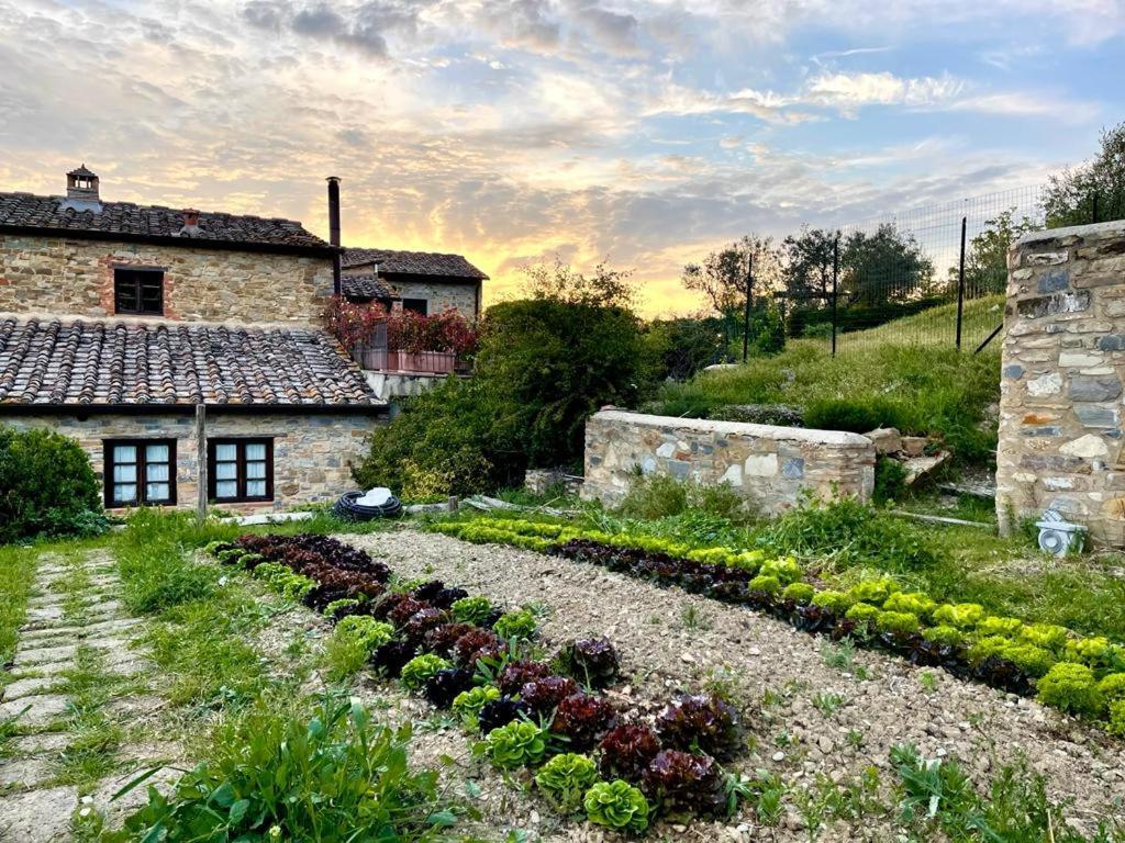 منزل الضيف Barberino di Val dʼElsa  في Fattoria Casa Sola المظهر الخارجي الصورة
