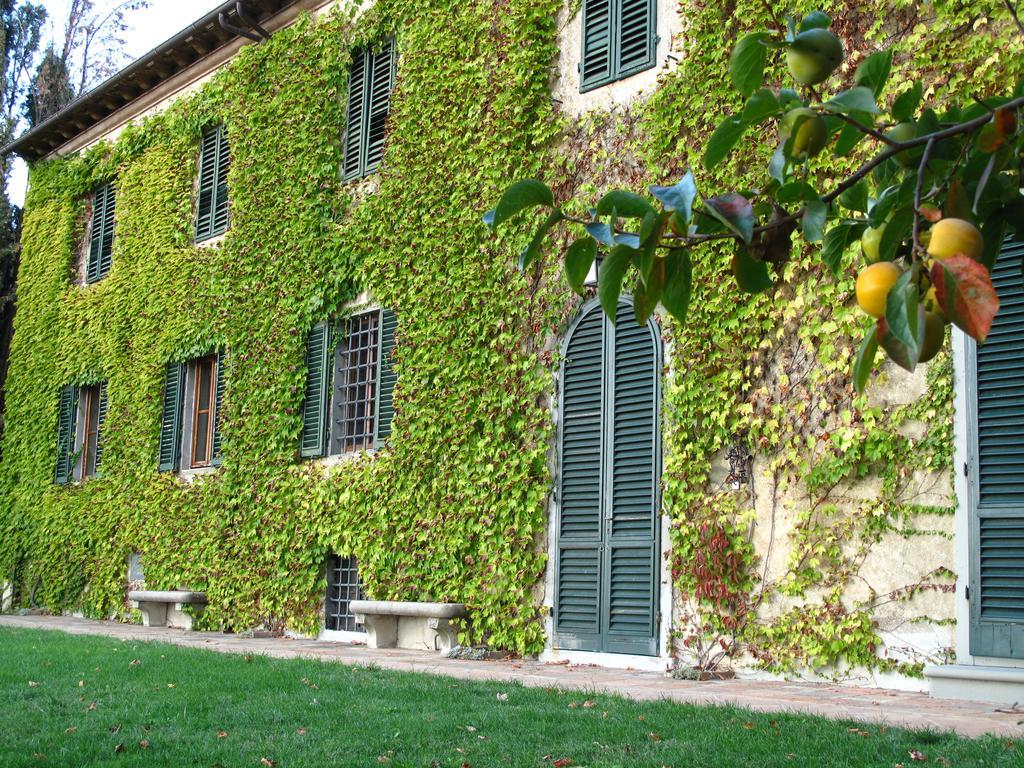 منزل الضيف Barberino di Val dʼElsa  في Fattoria Casa Sola المظهر الخارجي الصورة
