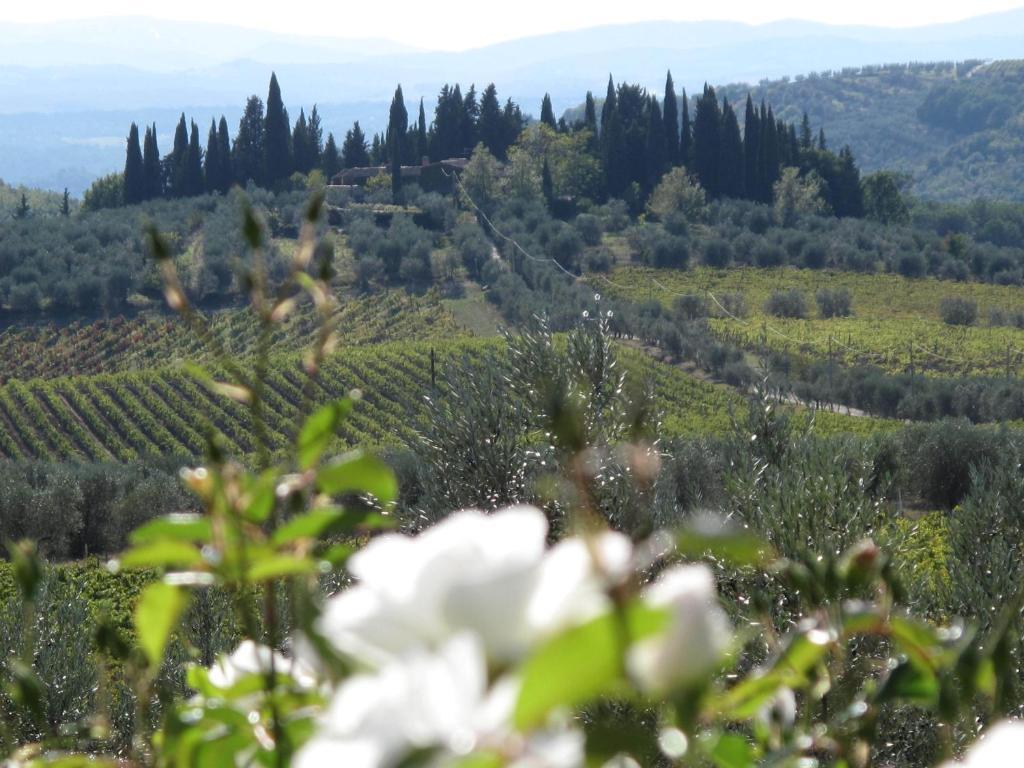 منزل الضيف Barberino di Val dʼElsa  في Fattoria Casa Sola الغرفة الصورة